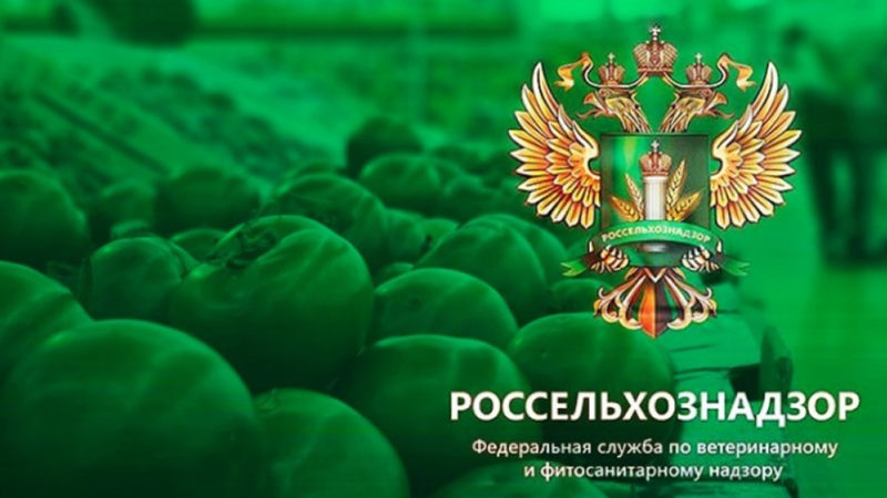 Россельхознадзор оштрафовал организацию в Рузском округе
