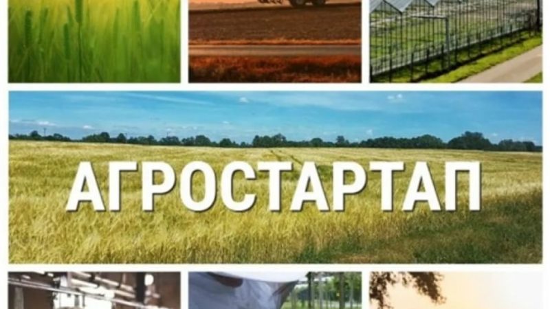 Ружанам – о грантах «Агростартап»