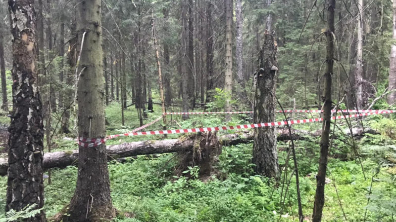 В Рузском округе обезвредили гранату и снаряд времен войны