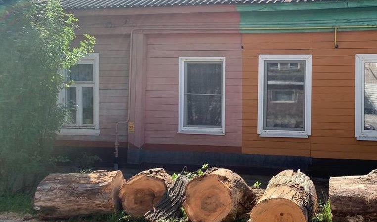 В Рузском округе проводится опиловка деревьев