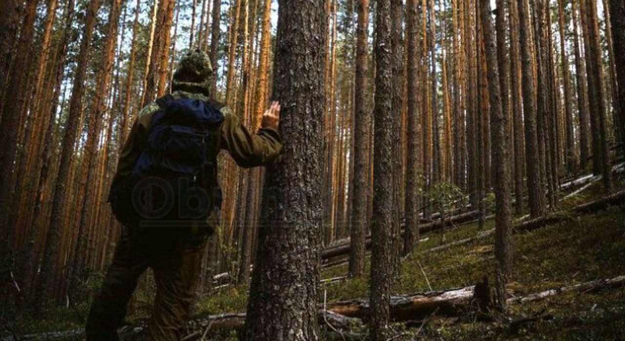 Люди В Лесу Фотографии