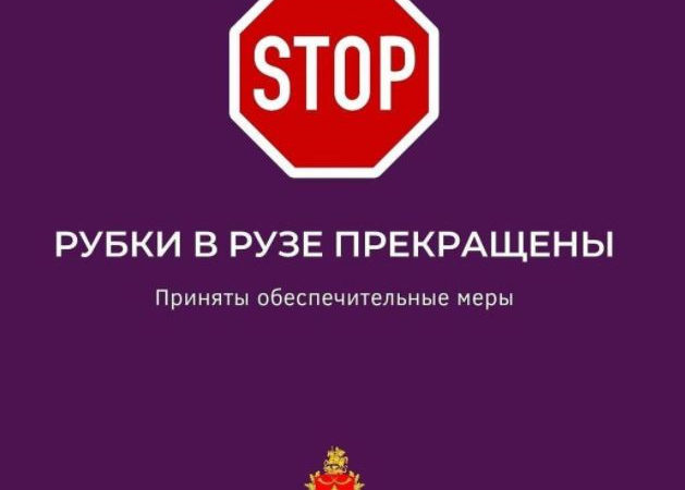 Ружан информируют о прекращении незаконной рубки леса