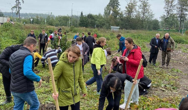 Жители округа высадили деревья в Старой Рузе