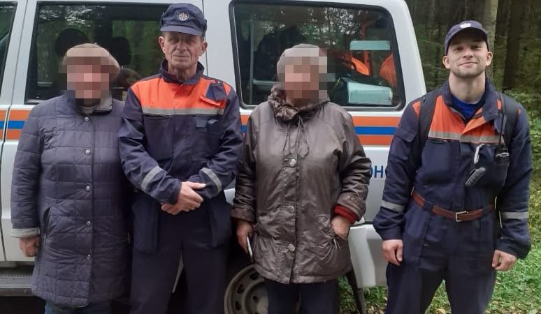 В Рузском округе из леса вывели пенсионерок