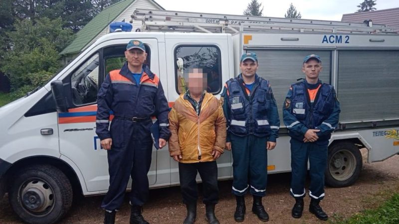 В Рузском городском округе из лесного массива вывели грибника