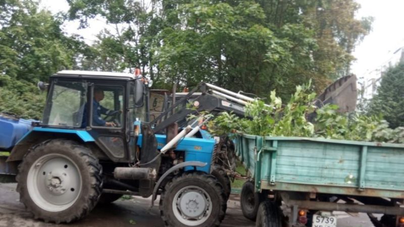В Рузском округе проводят опиловку деревьев