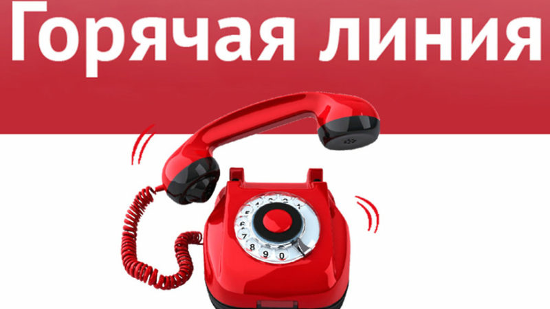 Ружане могут задать вопрос по питанию в общеобразовательных организациях