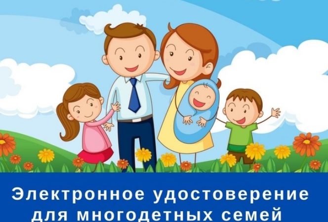 В Рузском округе удостоверение многодетных получили более 750 семей