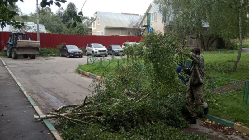 В Рузском округе проводят опиловку