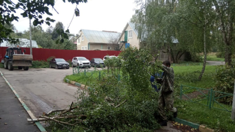 В Рузском округе продолжают кронировать зеленые насаждения