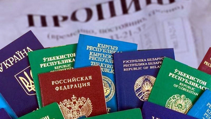 Организация незаконной миграции