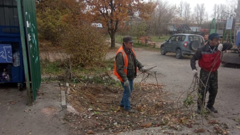 В Рузском округе обрезают деревья и кустарники