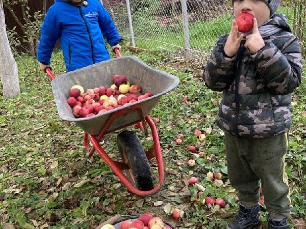 Ружане присоединились ко «Дню урожая»