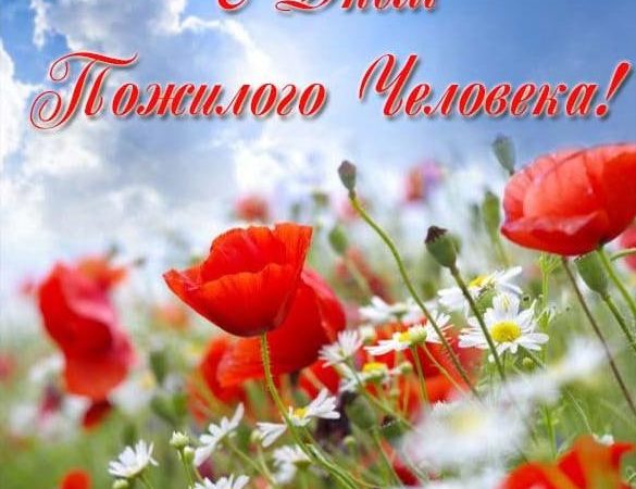 Глава округа поздравил пенсионеров с праздником