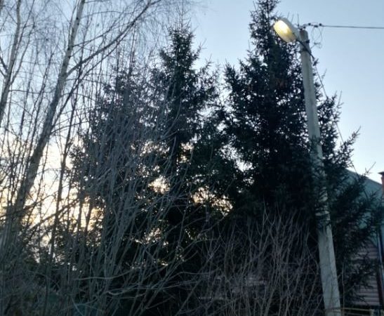 В Рузском округе меняют лампы в фонарях