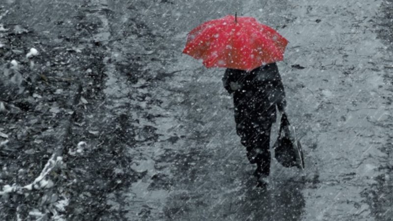 Ружан информируют о дожде со снегом и усилении ветра