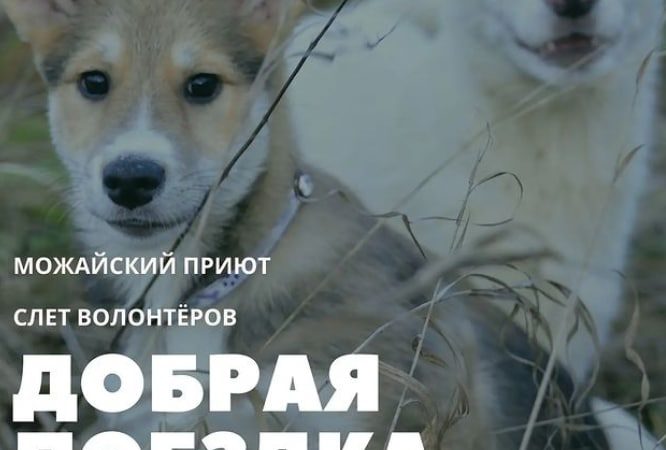 Ружан приглашают в «Добрую поездку»