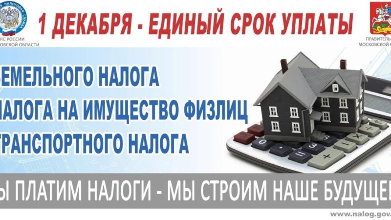 Ружане, не забудьте заплатить налоги!