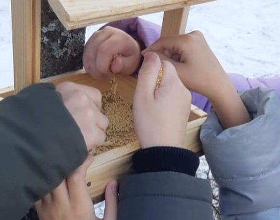 Колюбакинские школьники подкармливают пернатых