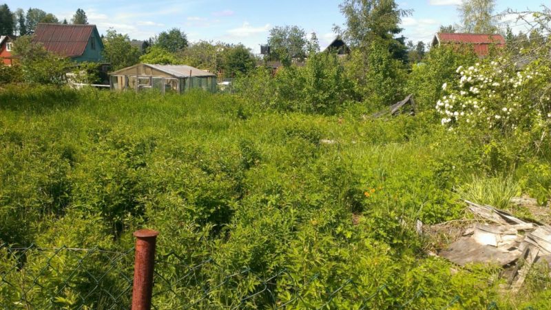 Ружанам сообщают, как получить право на чужой заброшенный участок или бесхозяйный объект недвижимости