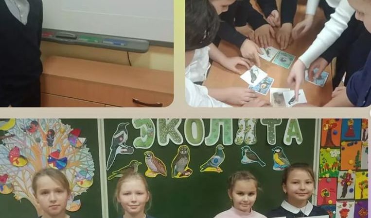Дороховчанам – о птицах