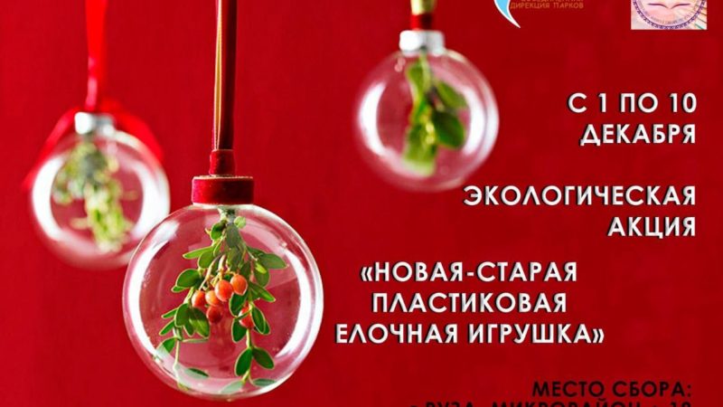 Ружане, приносите в библиотеку старые елочные игрушки!