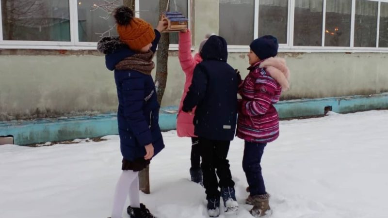 Лицеисты наполняют «птичьи столовые»