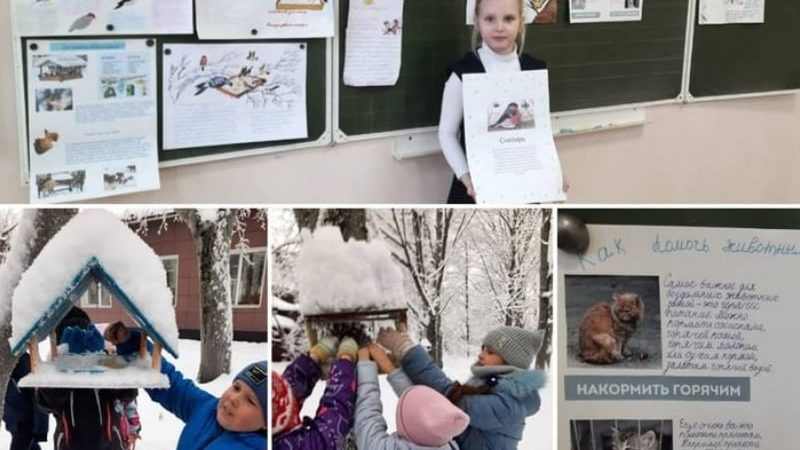 Тучковцы подкармливают птиц