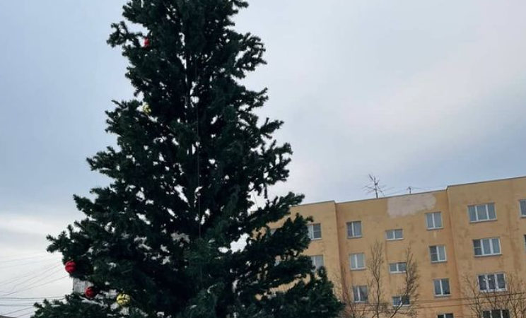 Лицеисты участвуют в новогодней акции