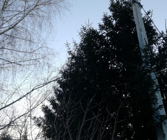 В Рузском округе ремонтируют фонари