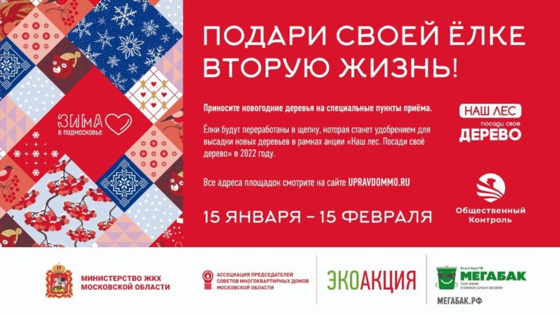 Ружане, сдавайте елки на специальные площадки