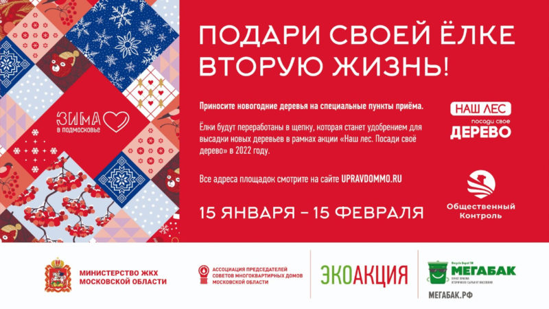 В Рузском округе – 3 места сбора елок