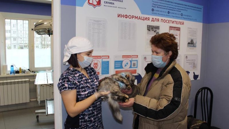 Ружанам – о проведении ежегодного SpayDay –Всемирного Дня стерилизации и кастрации домашних животных