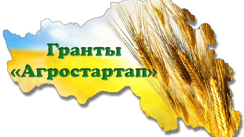 Ружанам – о приёме документов на конкурс по отбору проектов «Агростартап»