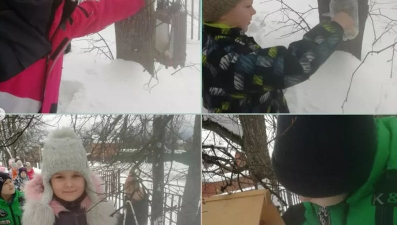 Дороховчане заботятся о птицах