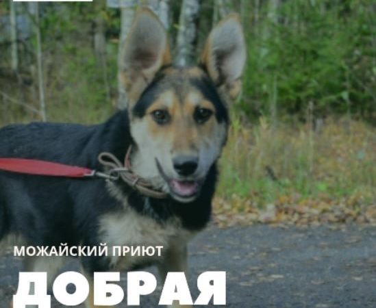 Ружан приглашают совершить «Добрую поездку»