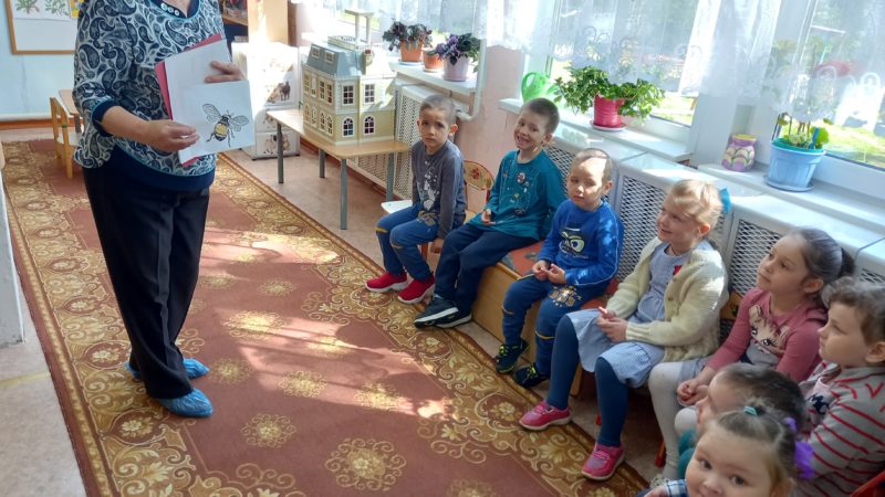 Златоустовская библиотека отметила Всемирный день пчел