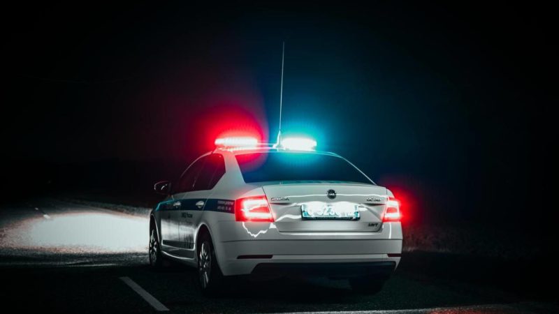 «Желтый» уровень погодной опасности из-за ветра объявлен в Подмосковье