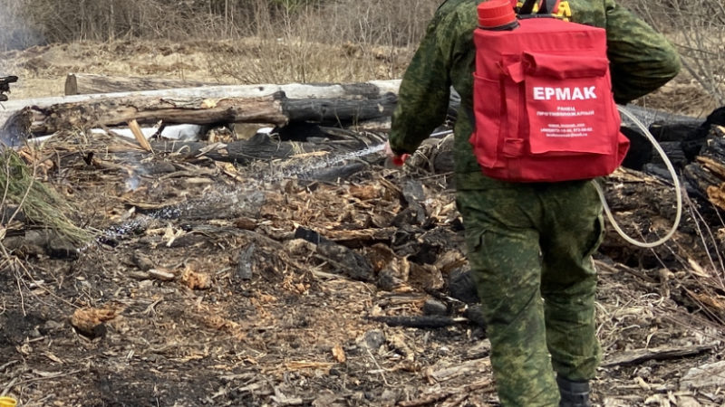 В Тучково ликвидировали пожар