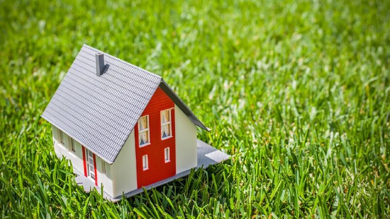 В Рузском округе можно взять участок в аренду для индивидуального жилищного строительства