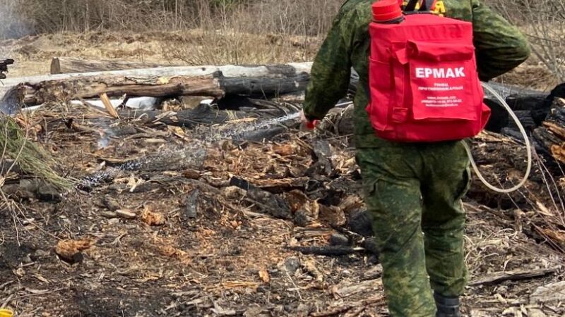 Ружанам – о мерах подготовки Звенигородского лесничества к пожароопасному периоду