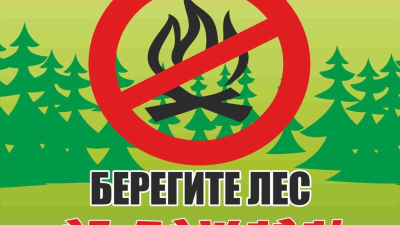 Ружанам – о пожарной безопасности в лесу