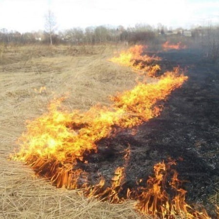 Ружанам напоминают о профилактике пожара на землях сельхозназначения