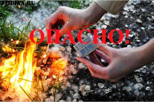 Ружан информируют об увеличении штрафа за нарушение правил пожарной безопасности в лесах
