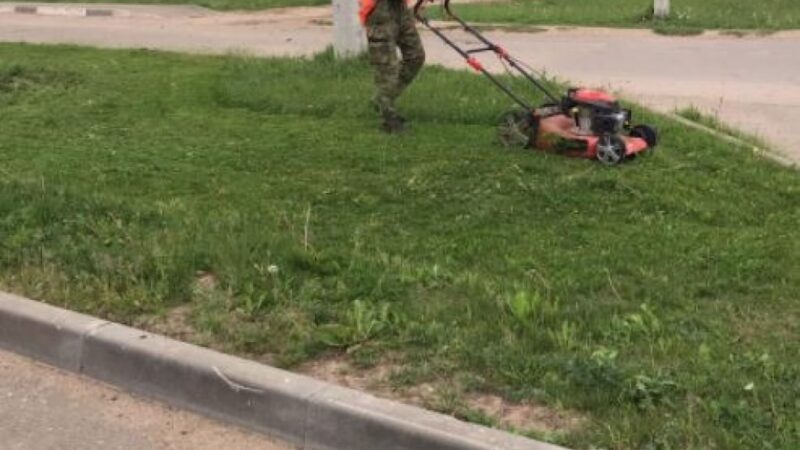 В Рузском округе косят траву