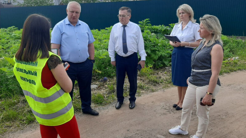 В Рузском округе обсудили проблемы борьбы с борщевиком