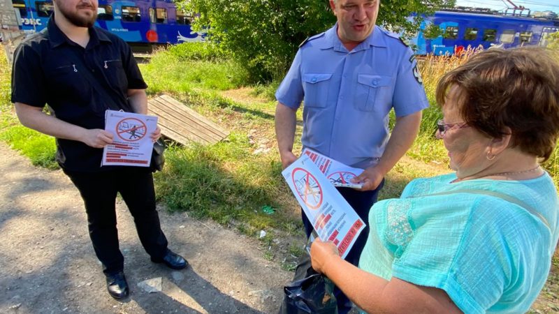 Сотрудники администрации РГО и МТДИ провели рейд