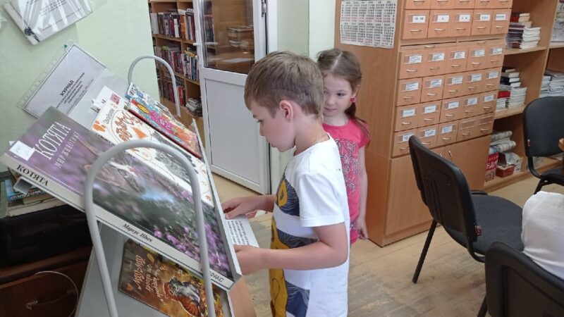 Юные тучковы ознакомились с книгами о кошках