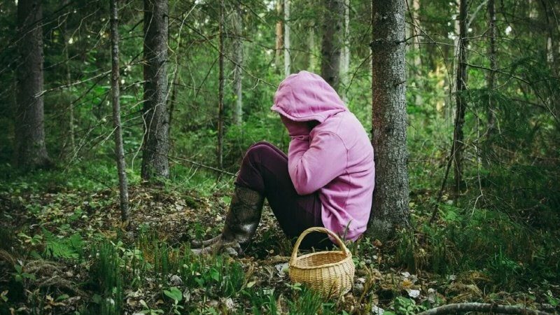 44 человека потерялись в лесах Подмосковья за лето