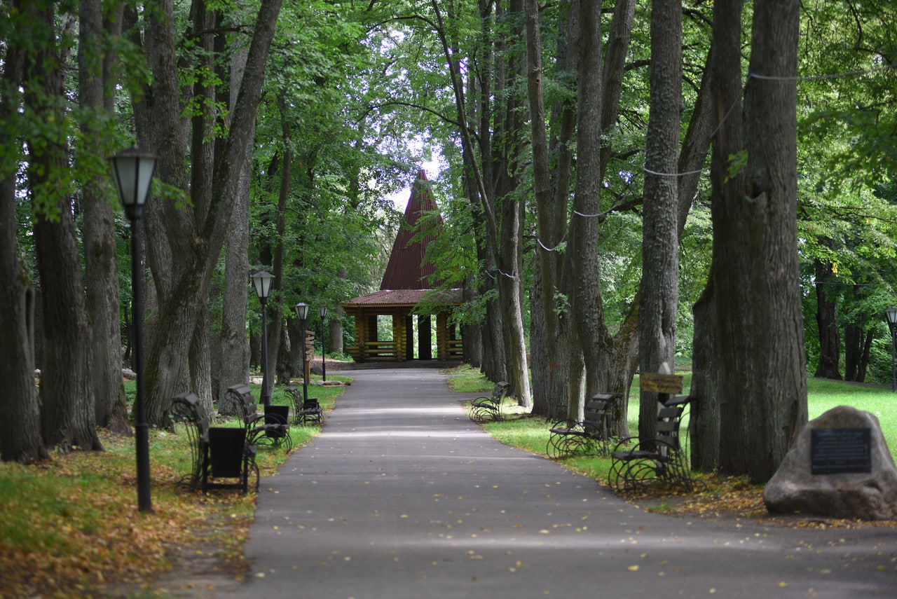 ногинск парки